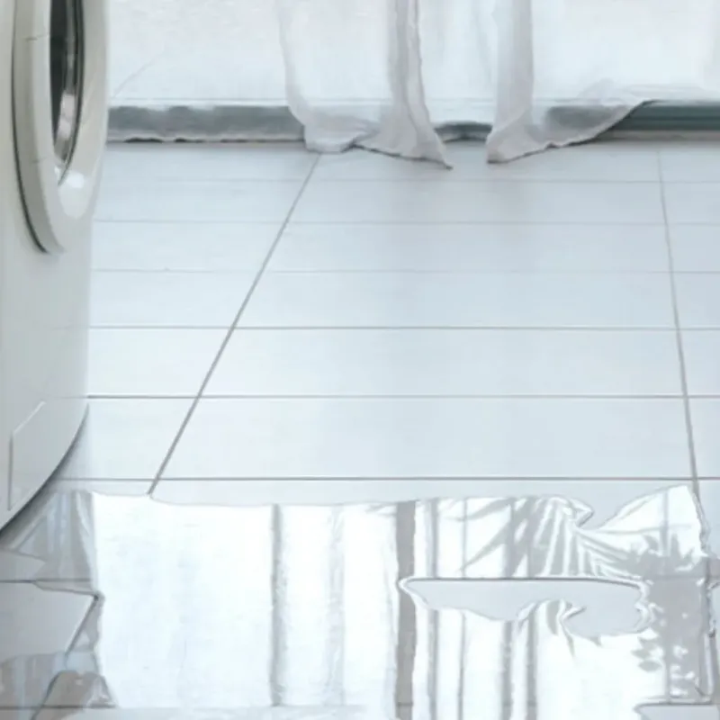 Appliance Leak Cleanup in Yoakum, TX